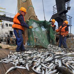 Российские рыбаки показывают стабильный результат на Балтике